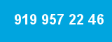 919 957 22 46 919 957 22 46